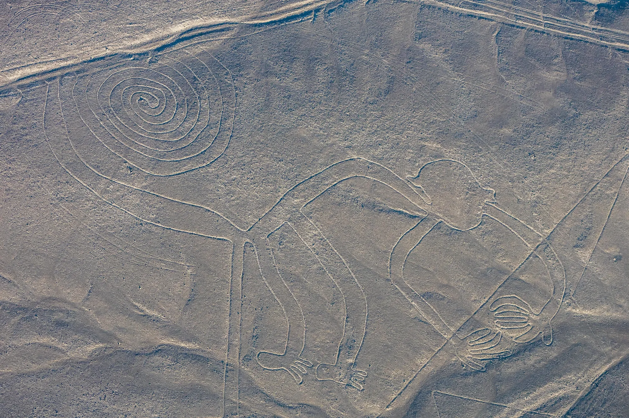 The Lines in the Desert